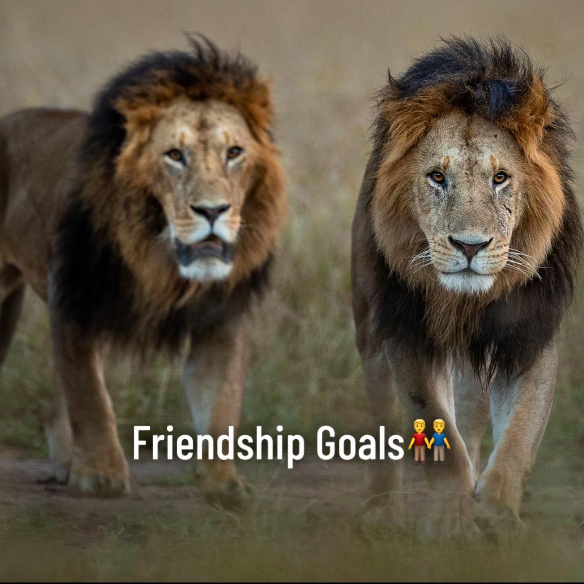 @🚩 S O N U   وہاڑی آلہ 🚩