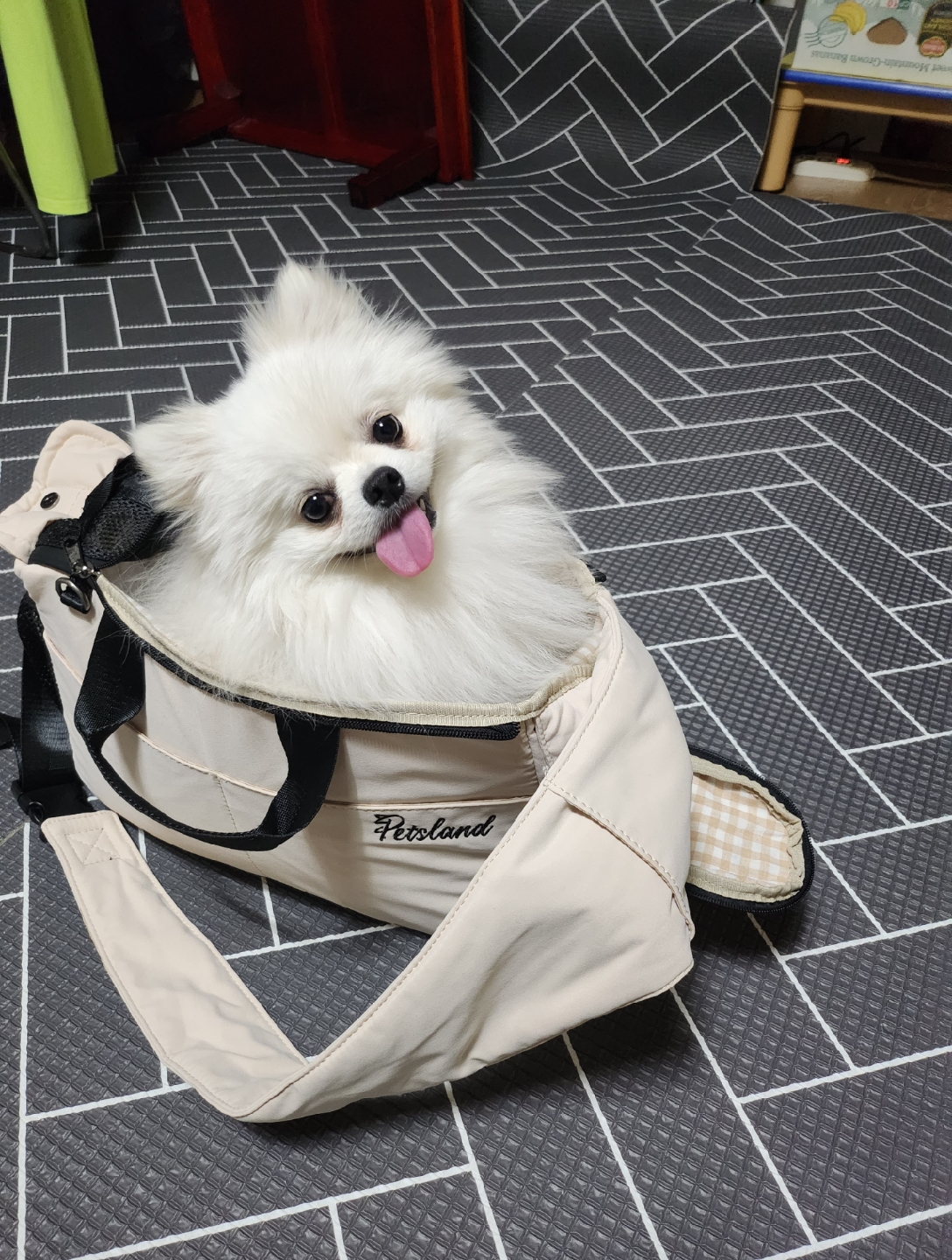 @두진이와두리 아빠
