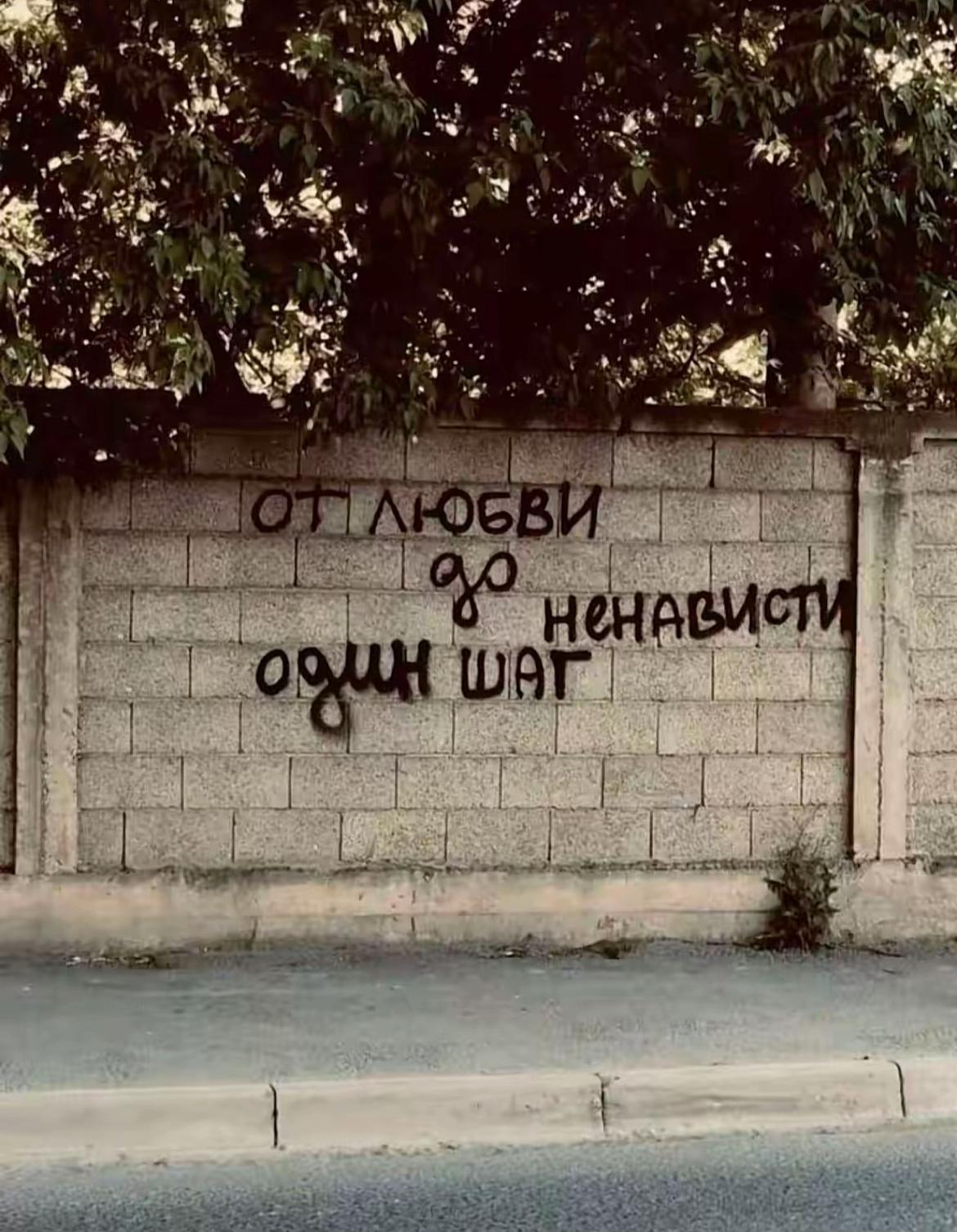 @уличка🐾