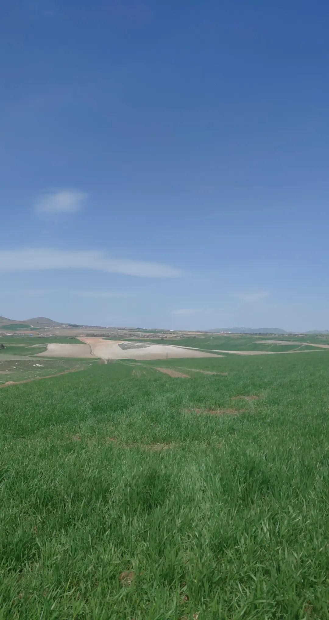@K&ouml;ksal Zeliha
