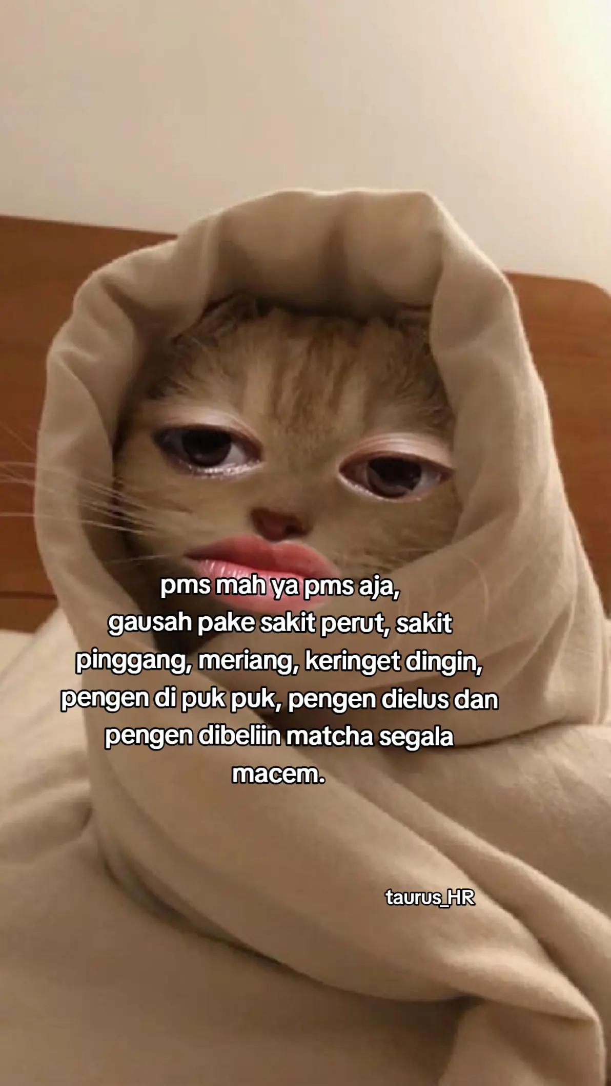 @๐ฅ๐๐ฆ๐ฃ๐ฆ๐ค_โโ