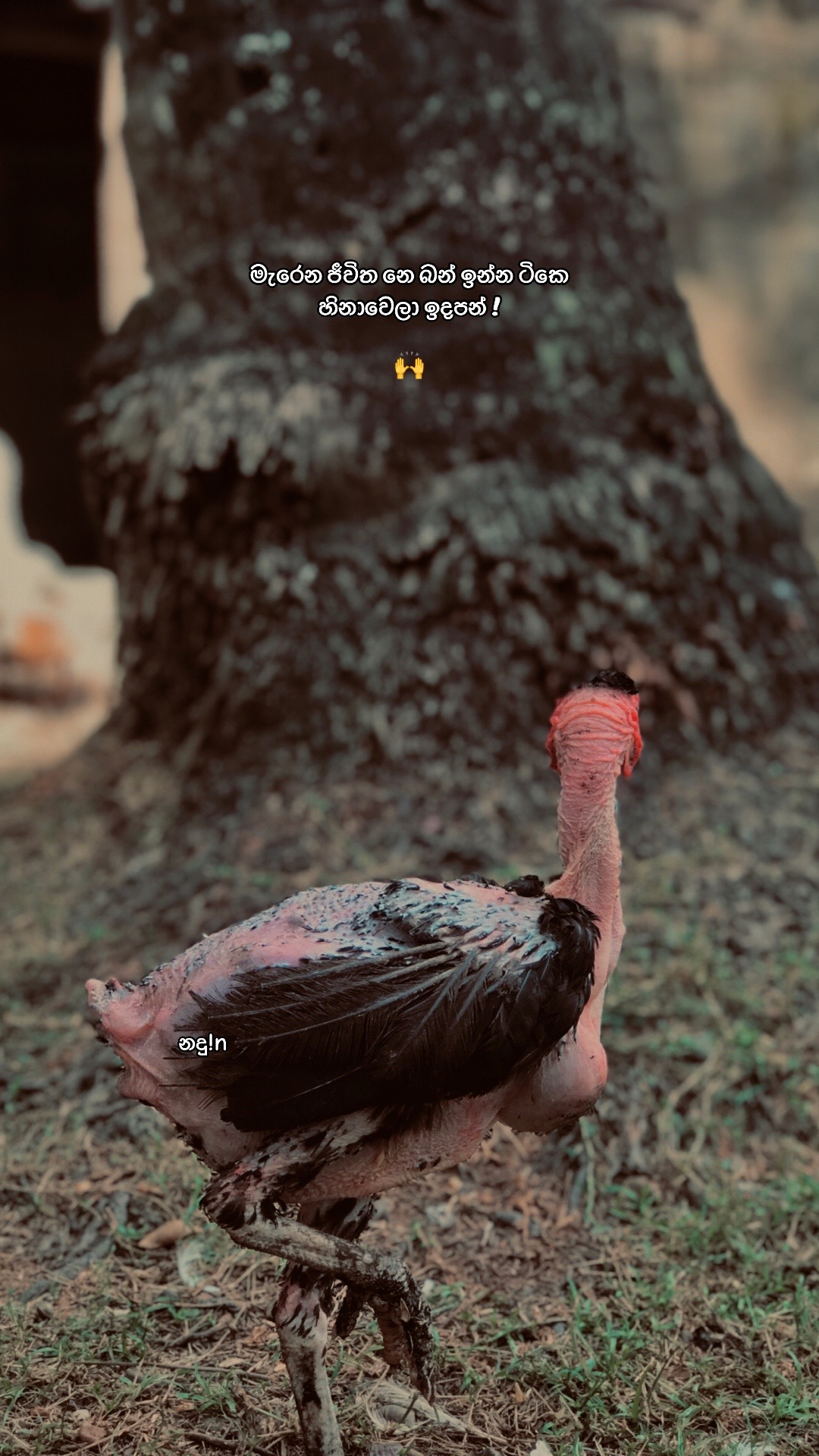 @•Nᴀᴅᴜ_🪐🧊