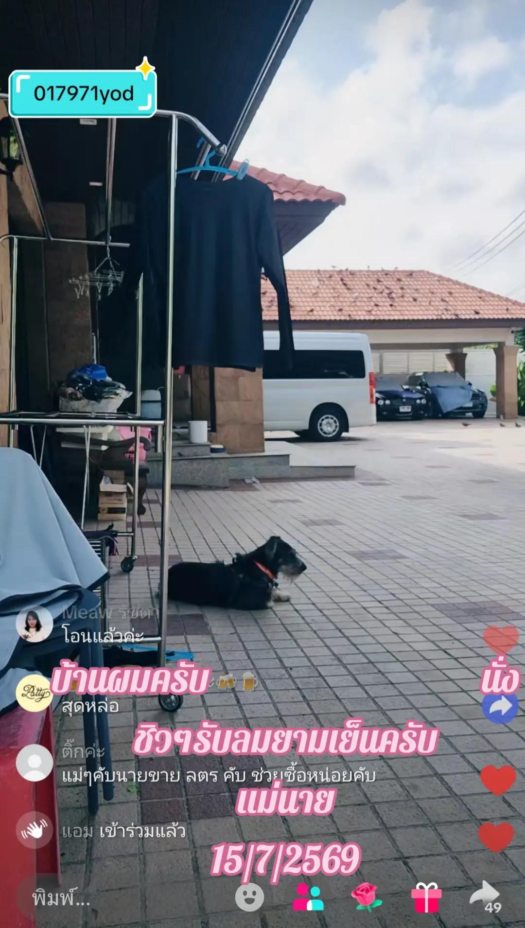 @Mai Mai