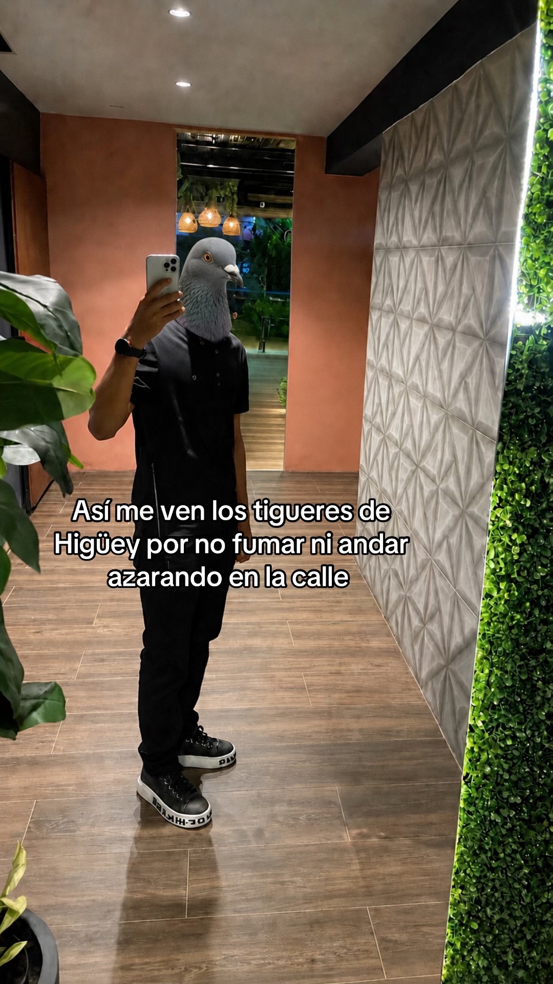 @ JM López 