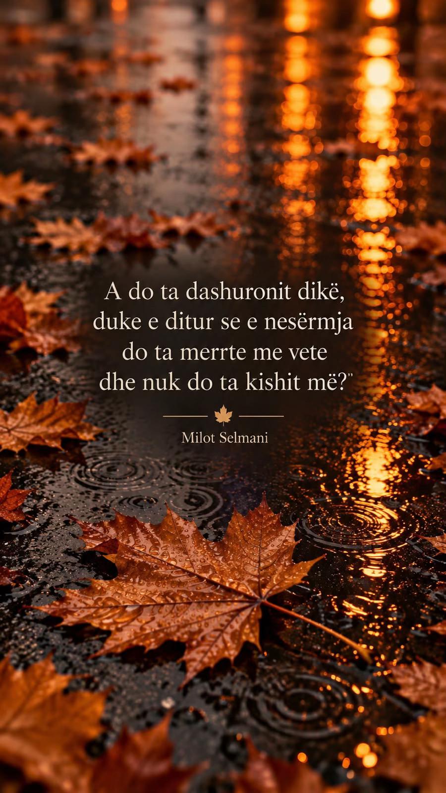 @milotselmani