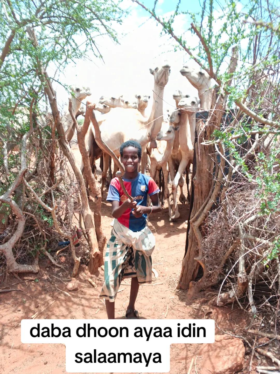 @col ujoog