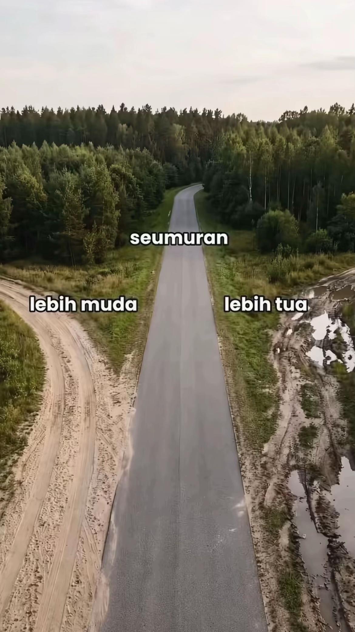 @y