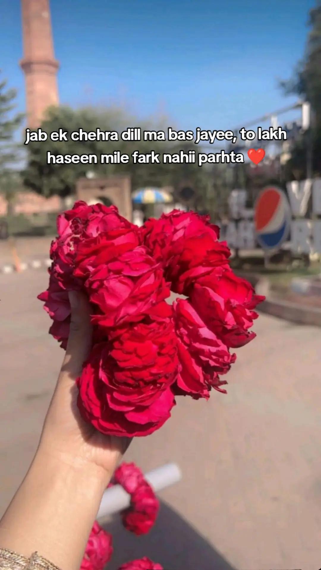 @farwaejaz110