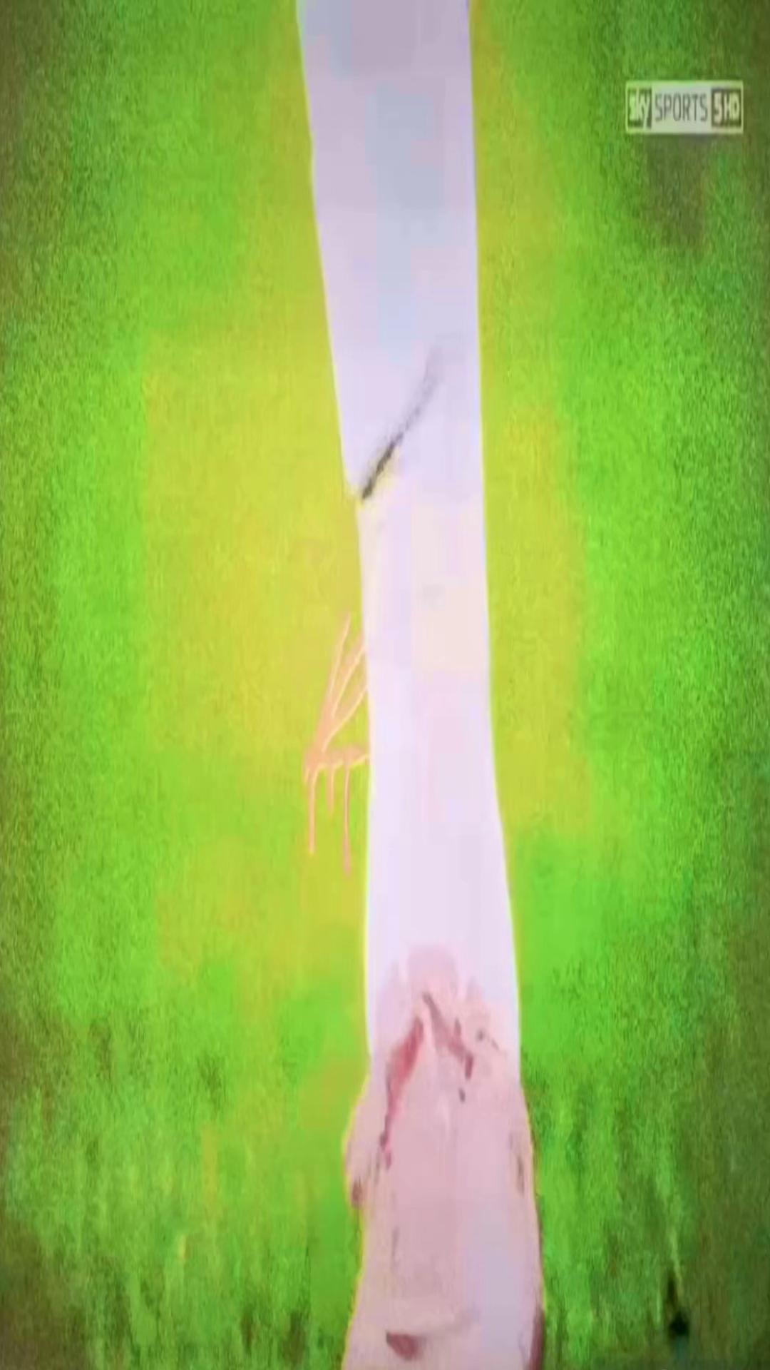 @taza