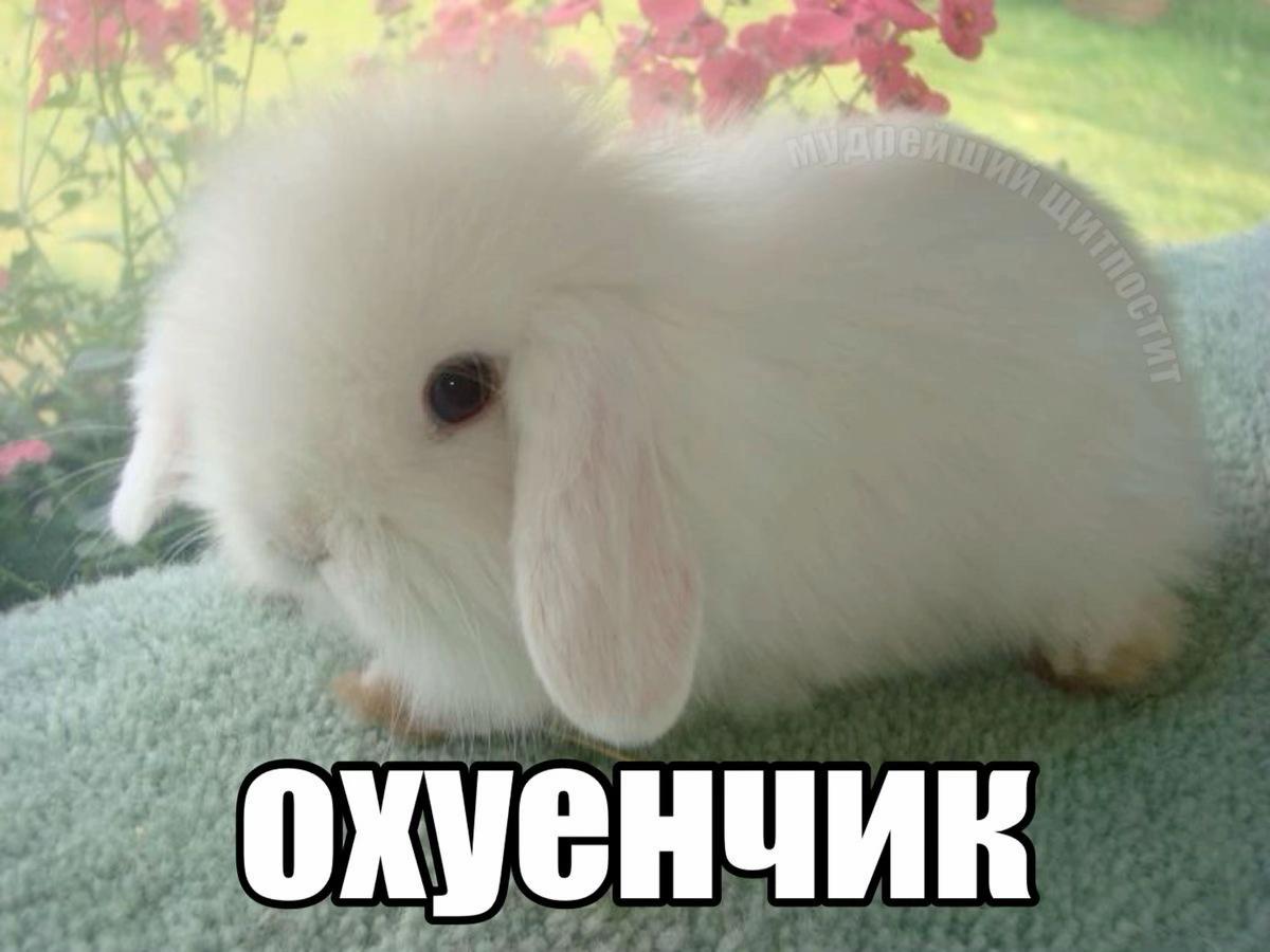 @линк