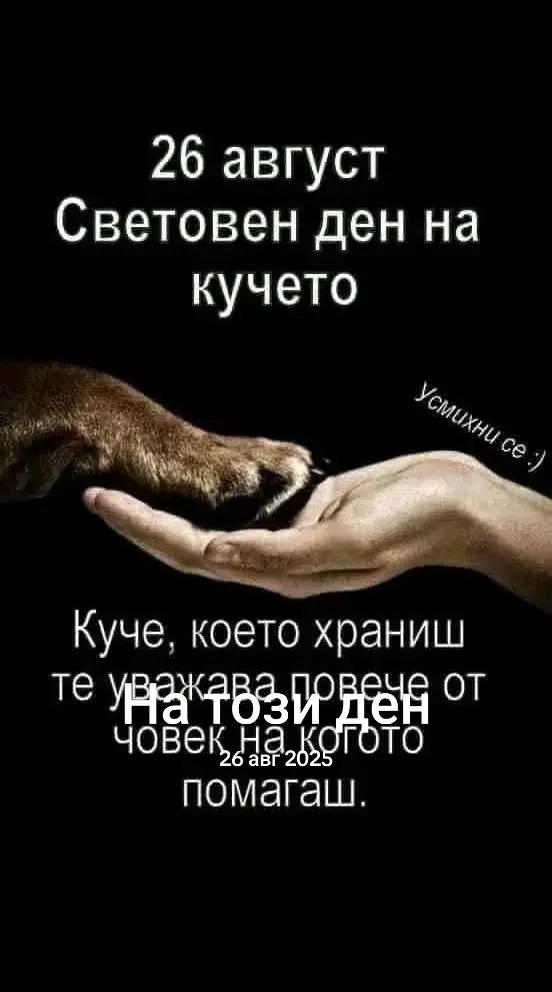 @🇧🇬Бясното Куче🇧🇬