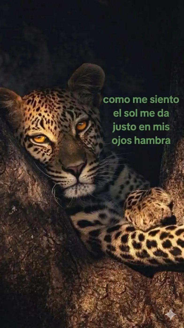 @Ainhoatop3
