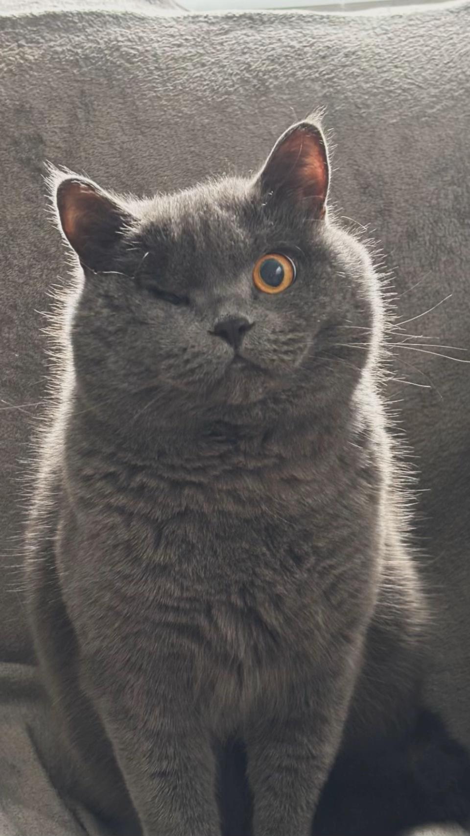 @𝐌 𝐀 𝐂 𝐘 𓃰