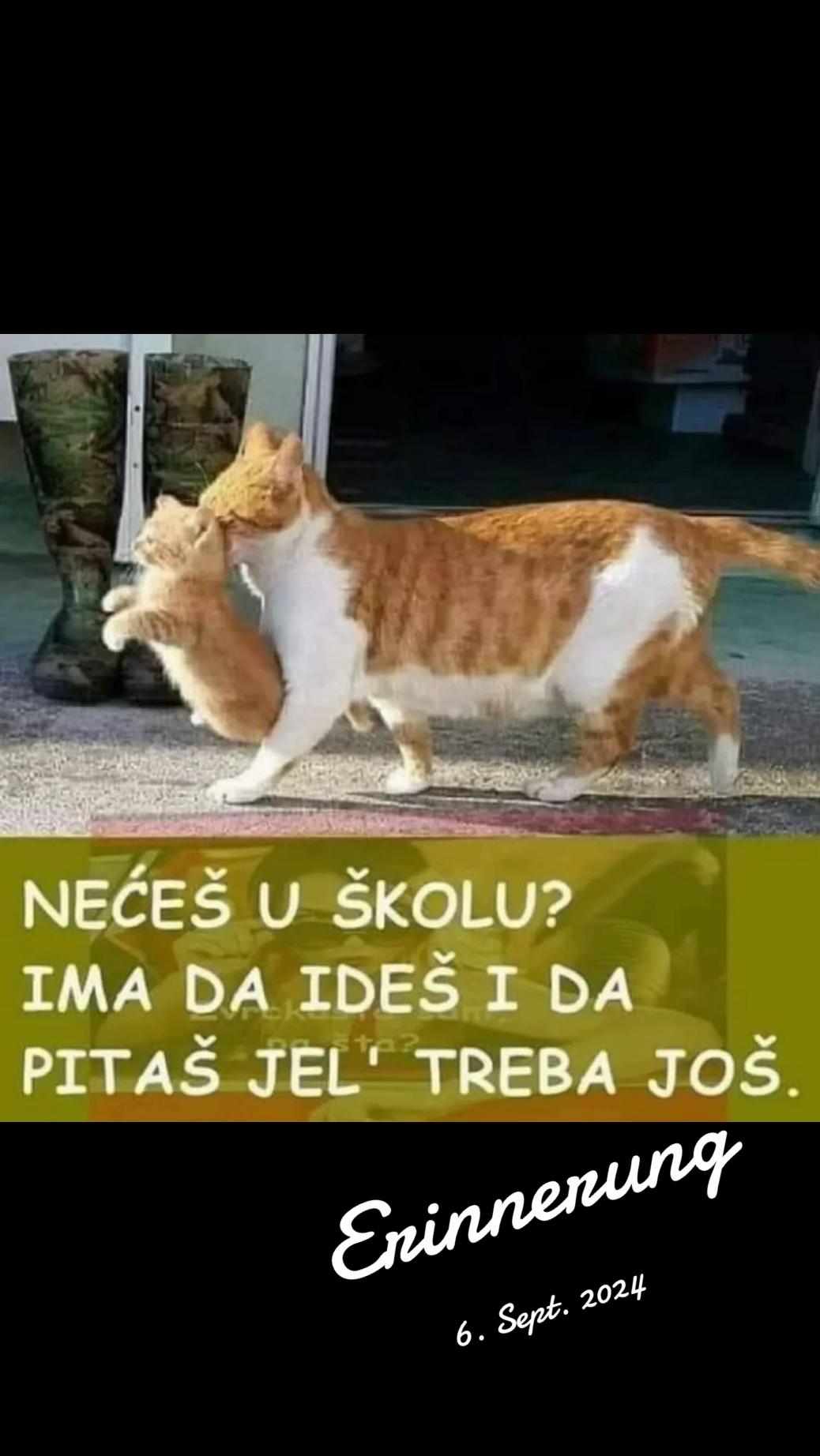 @majamarinkovic