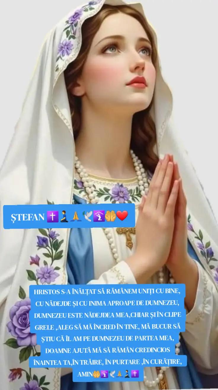 @🔷️🔵ȘTEFAN 🔵🔷️