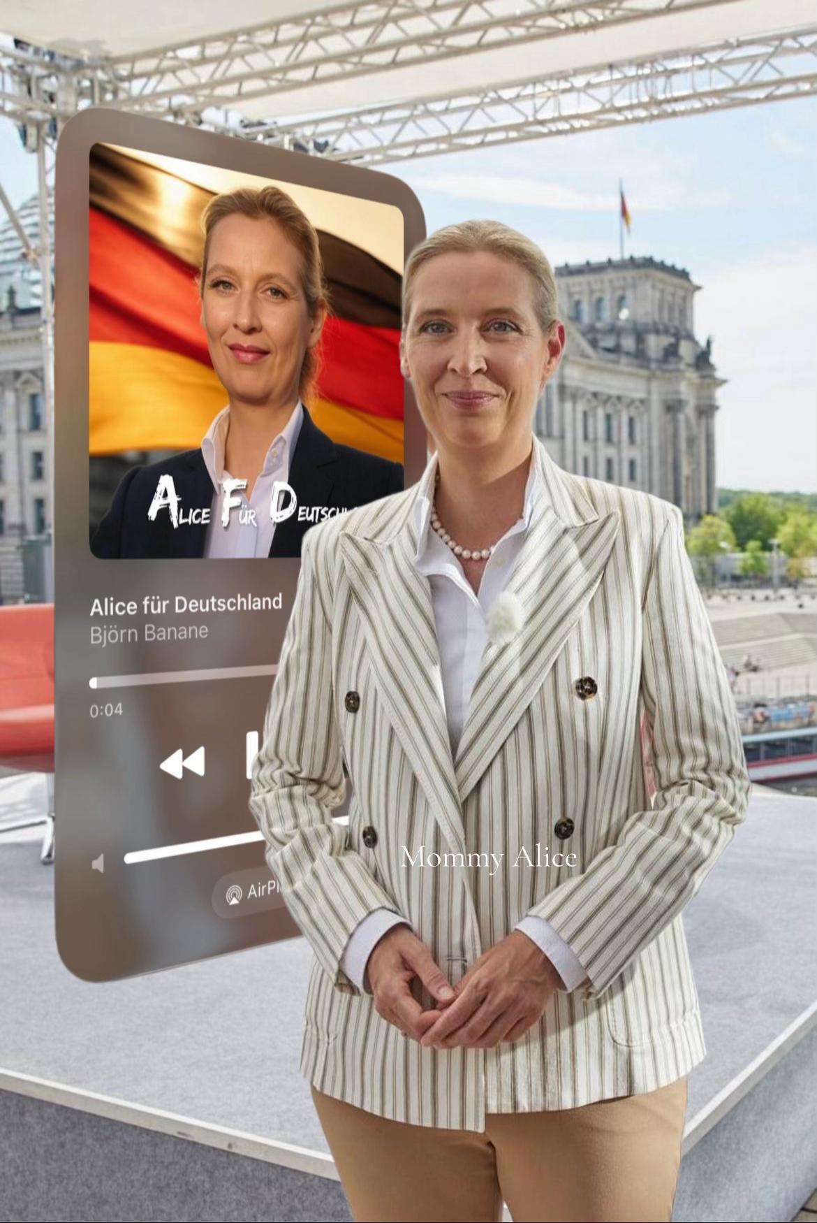 @Alice Weidel Fan💙