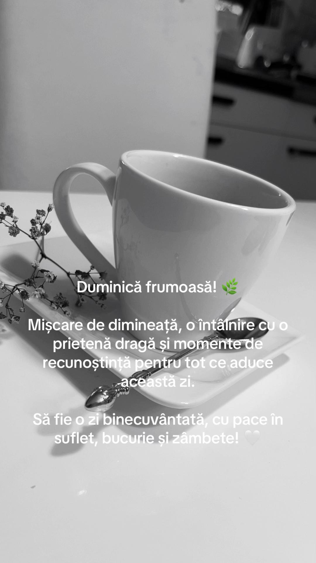 @Gärtner Cosmina