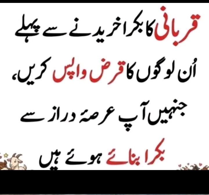 @ghulam.5911.Mustafa