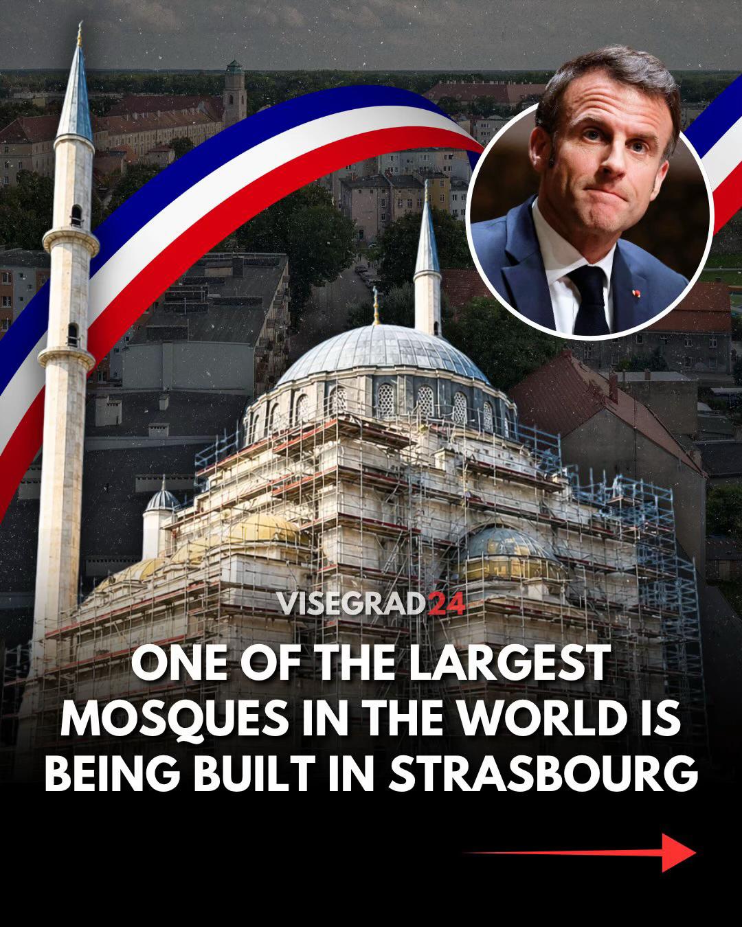@Visegrad24