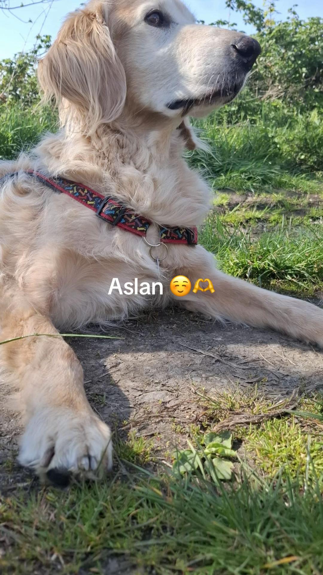 @Manuel,Aslan&Eddie🐾❤️