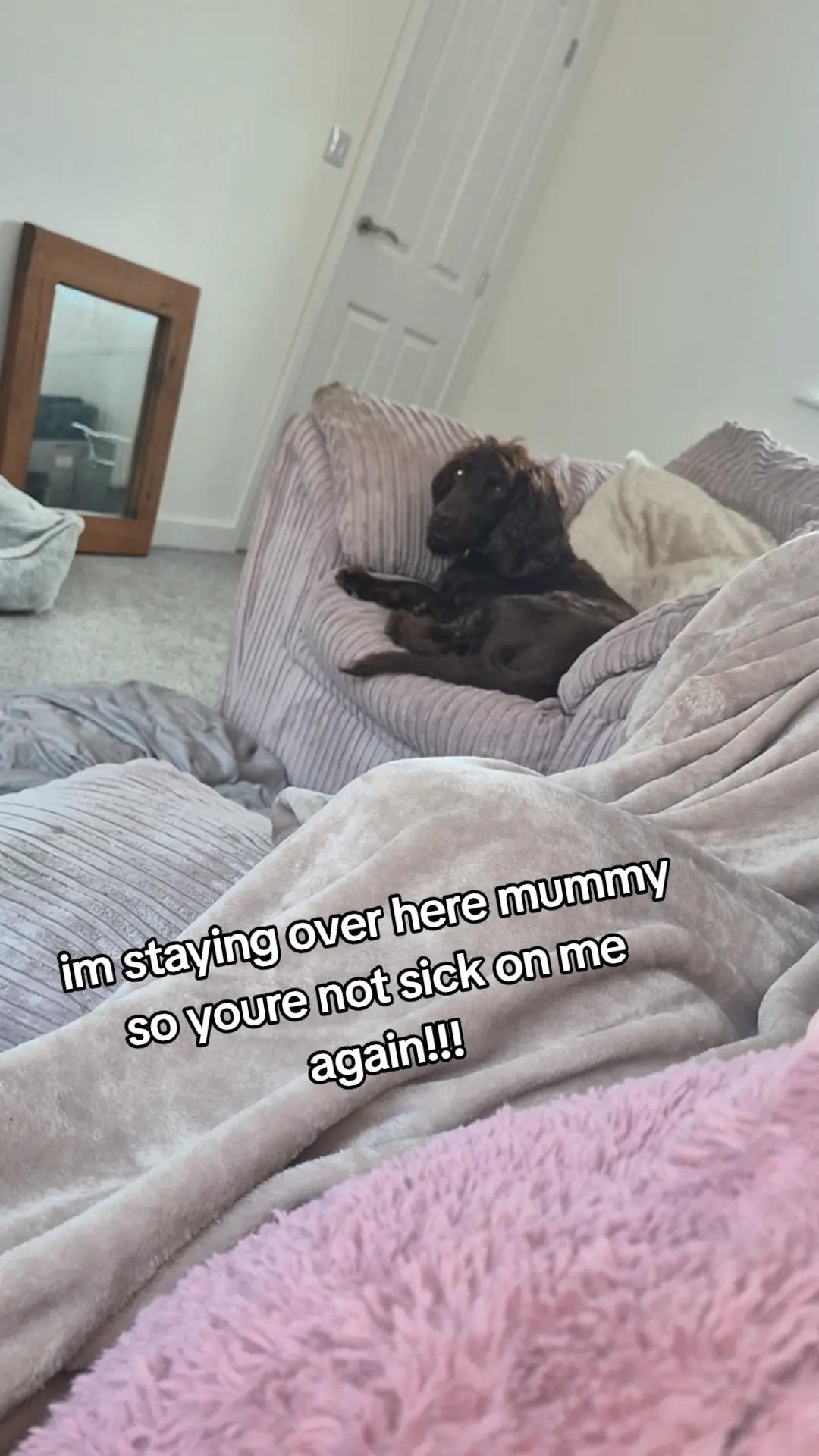 @Kayleigh