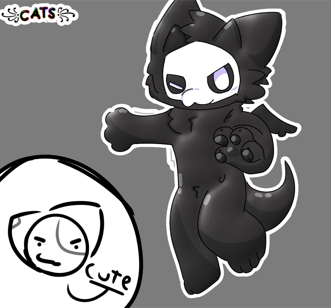 @꧁Cats꧂