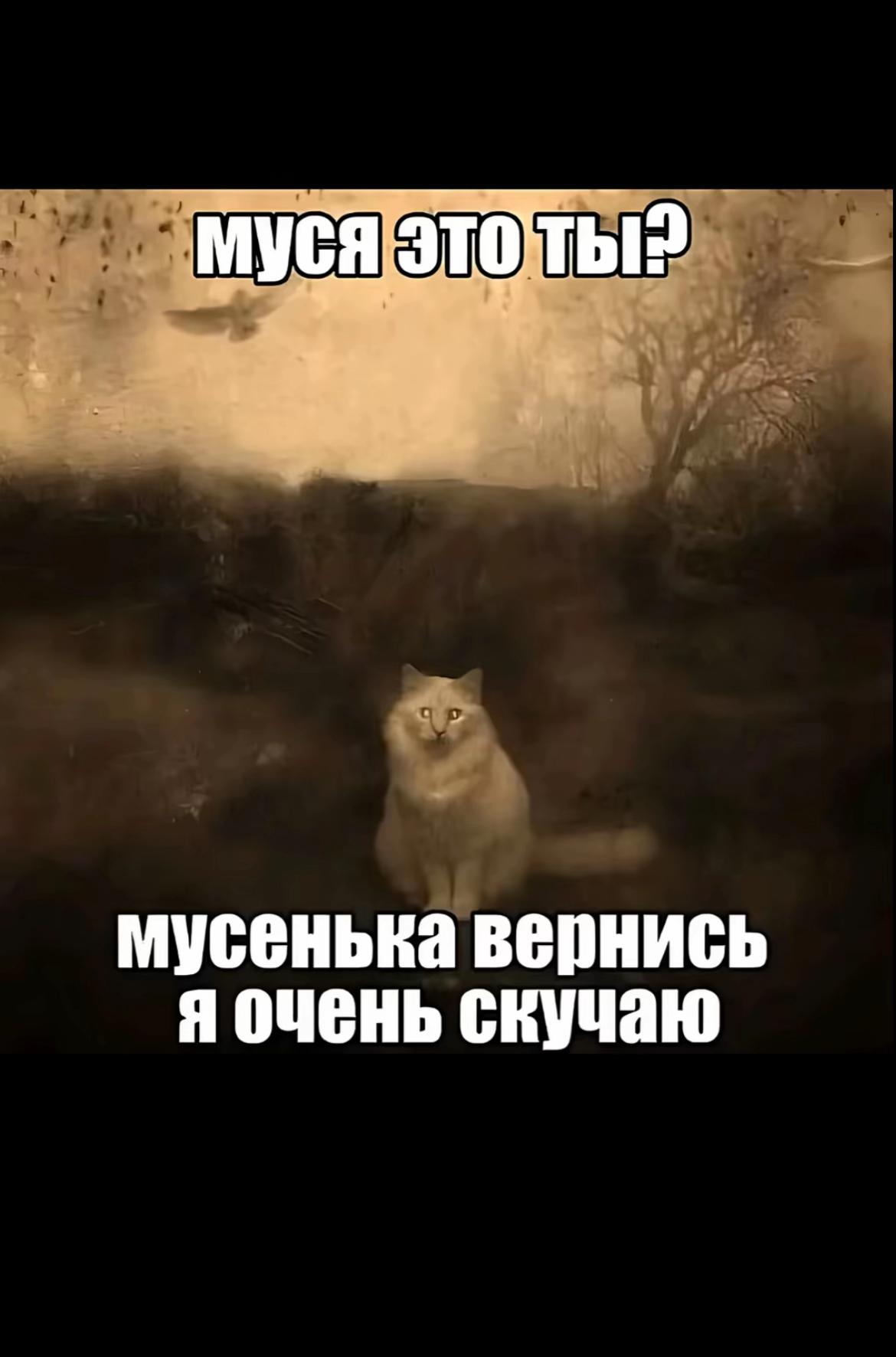 @Killer_7776