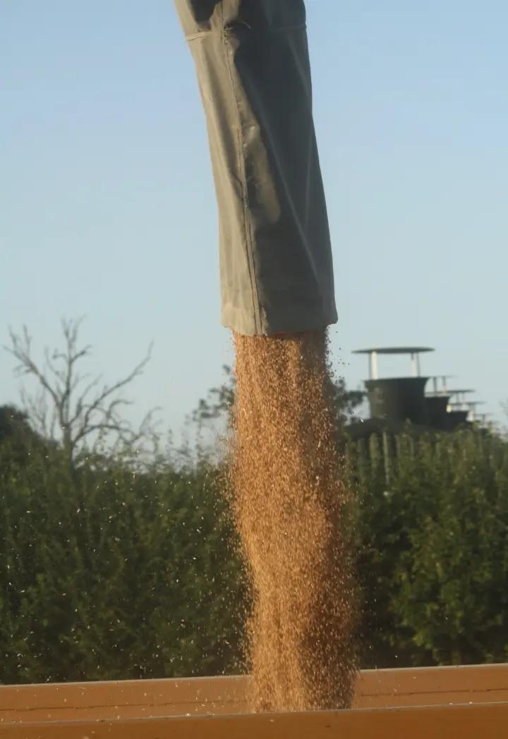 @agrigogsphotos