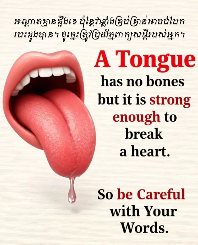 @Pocket Wisdom