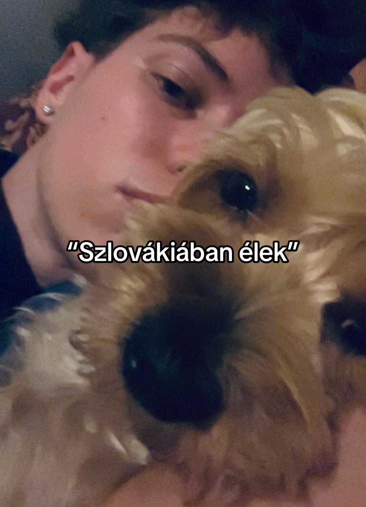 @ideabandit