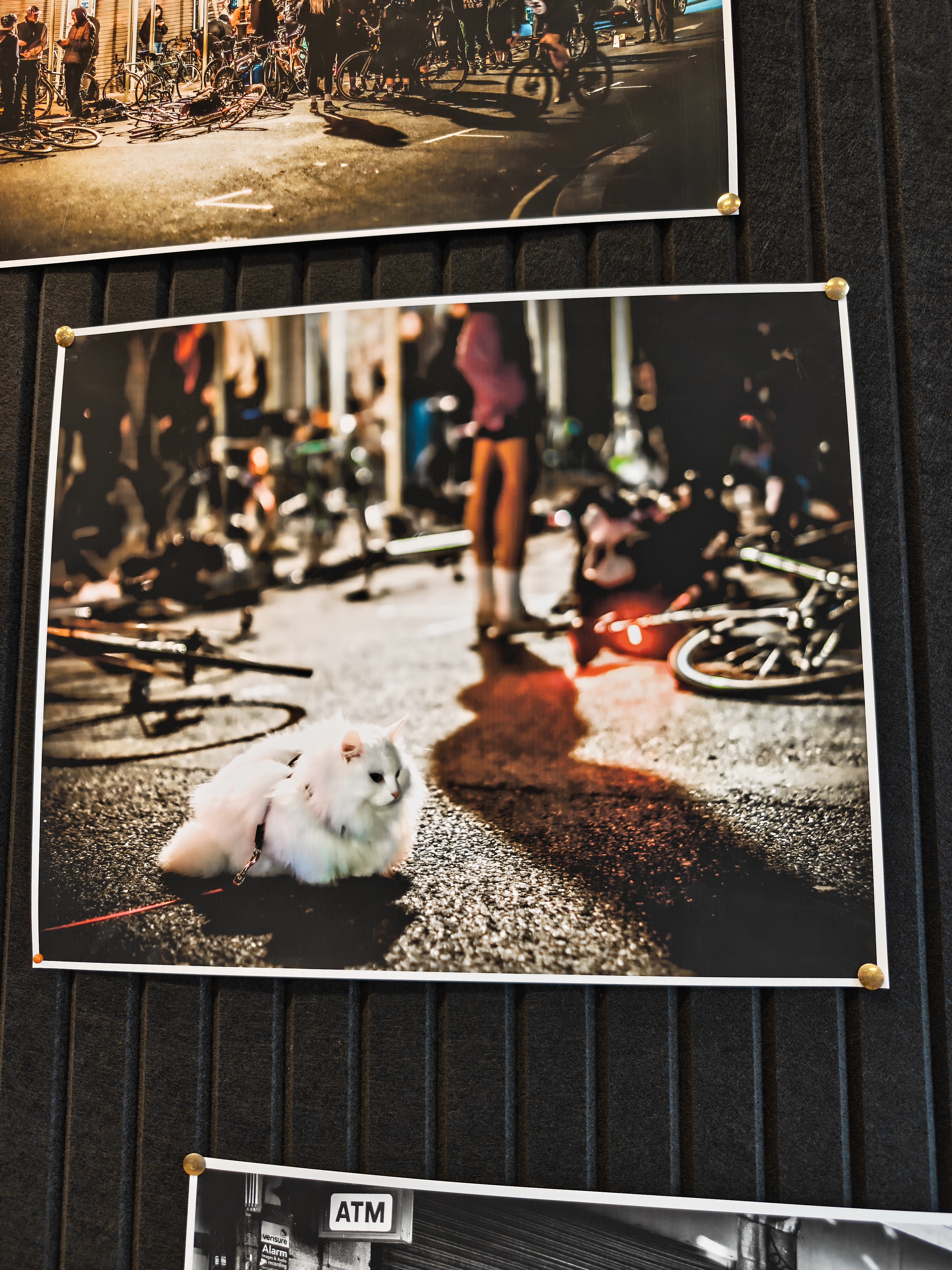 @Travis and Sigrid