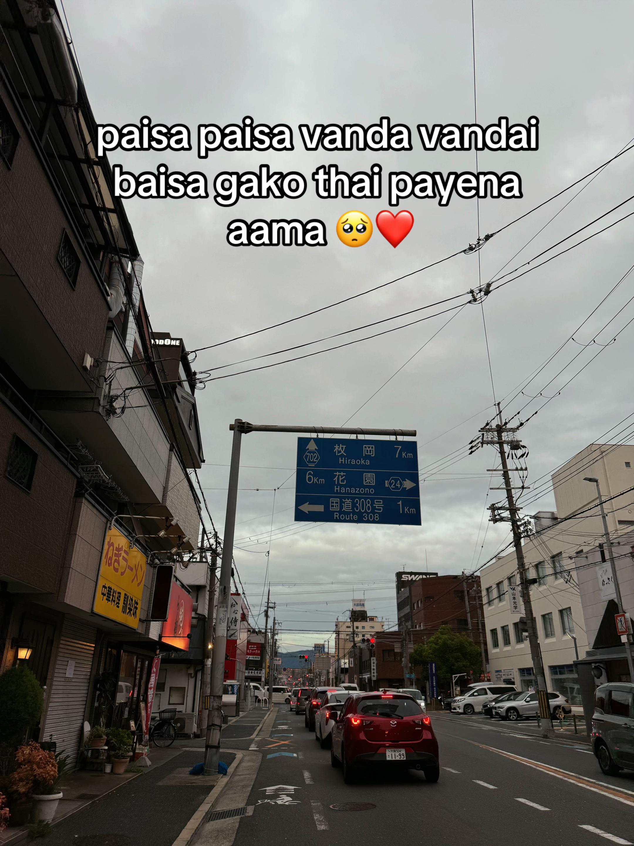 @YANG SENPAI