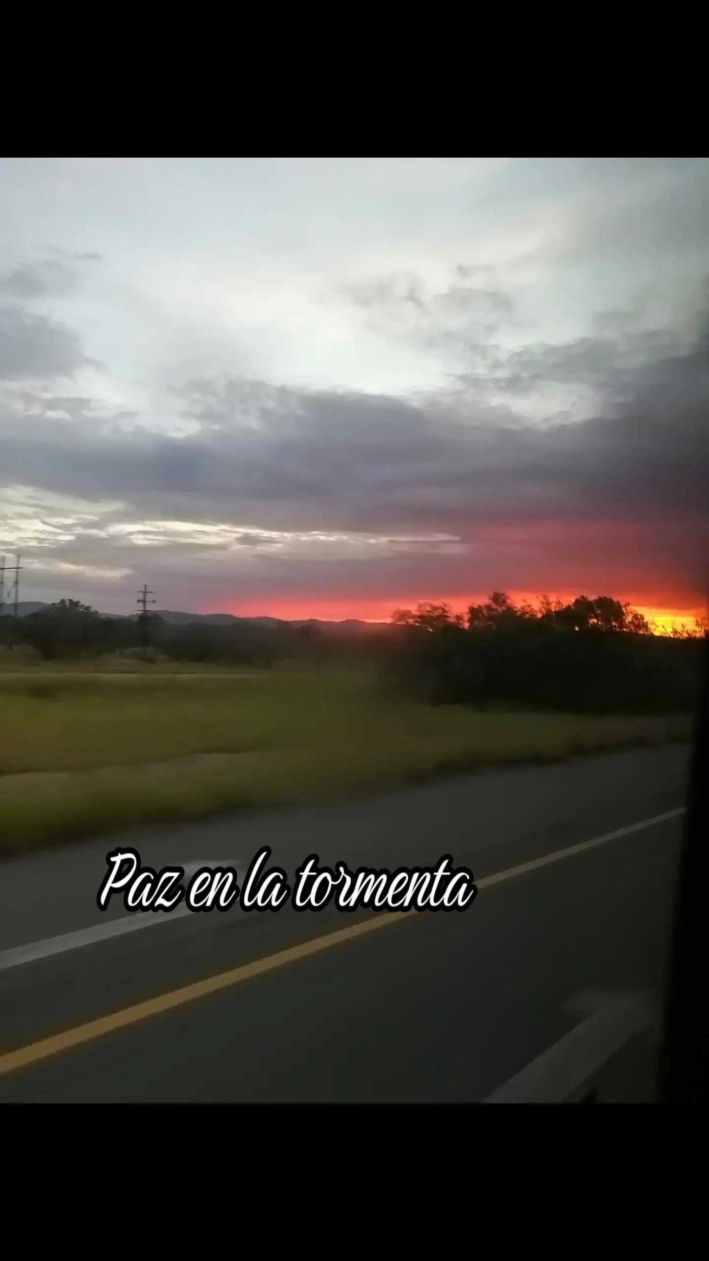 @Lorena Leal