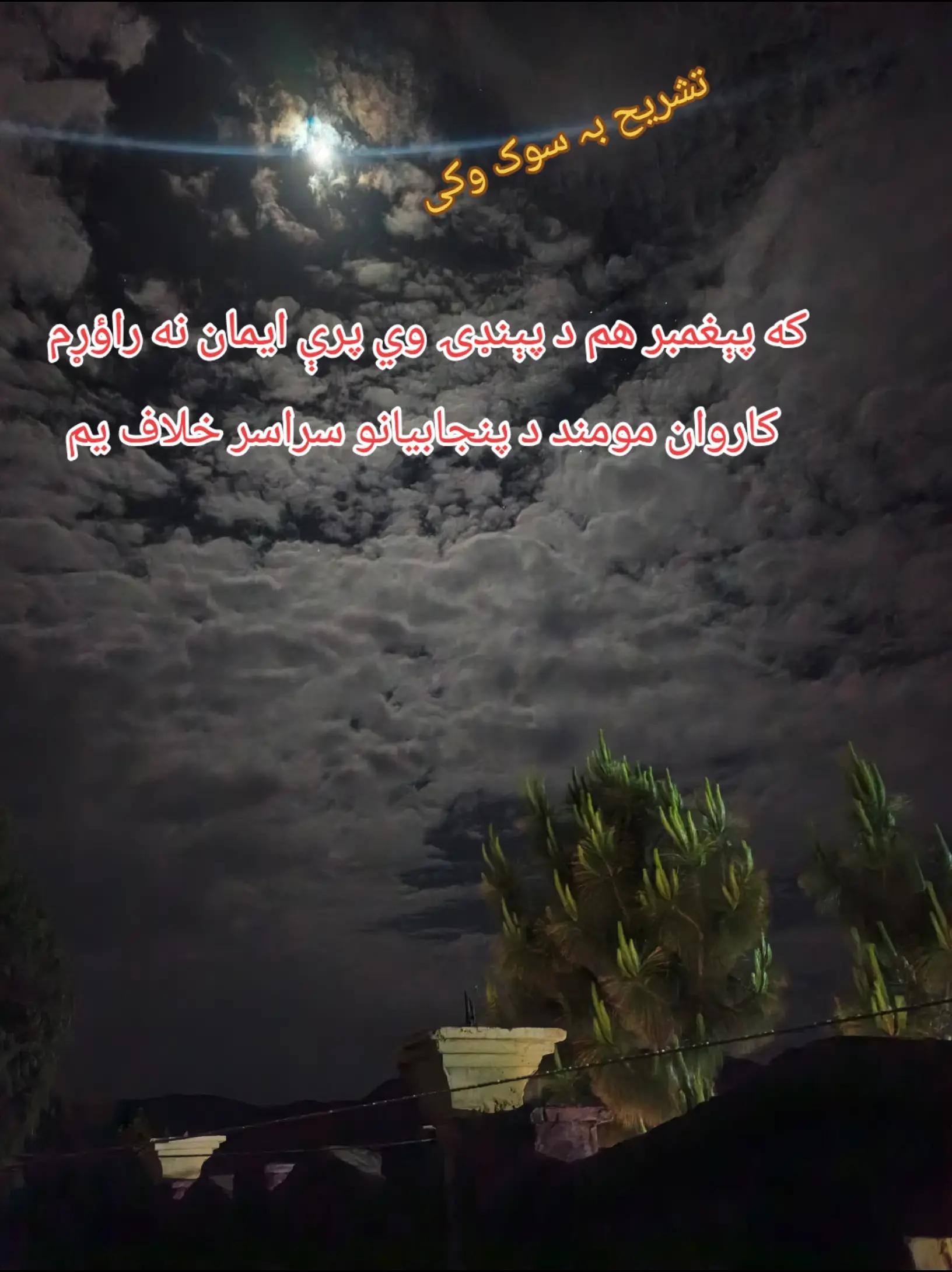 @Wasi_Mohmand