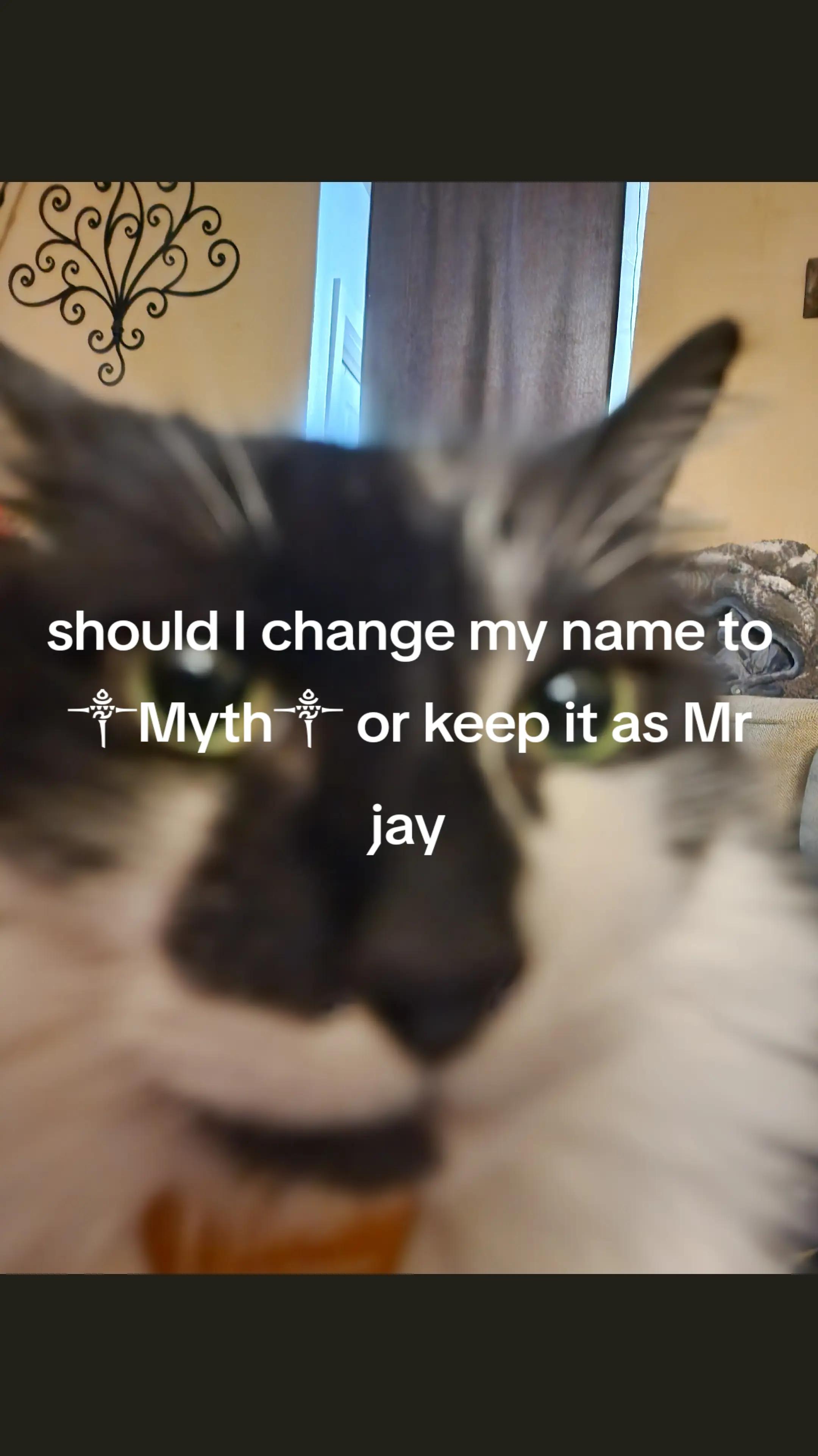 @Mr Jay▇▇▇▇