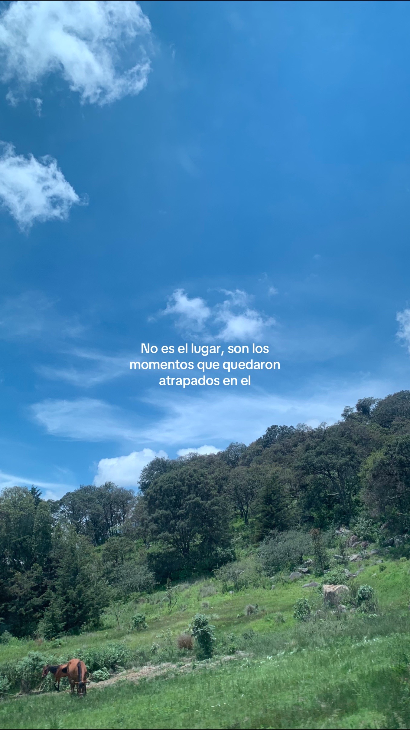 @Lucerito