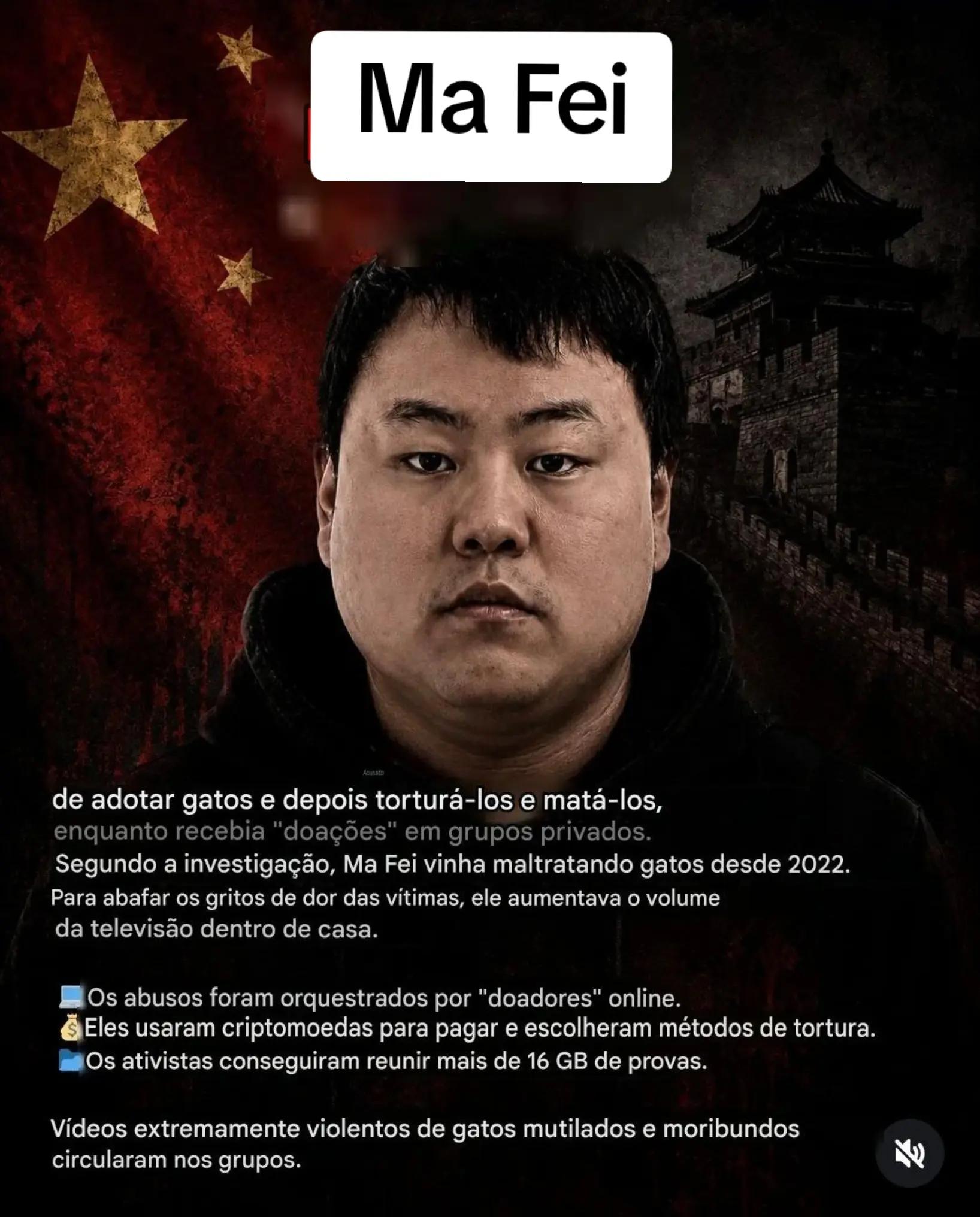 @macatsss