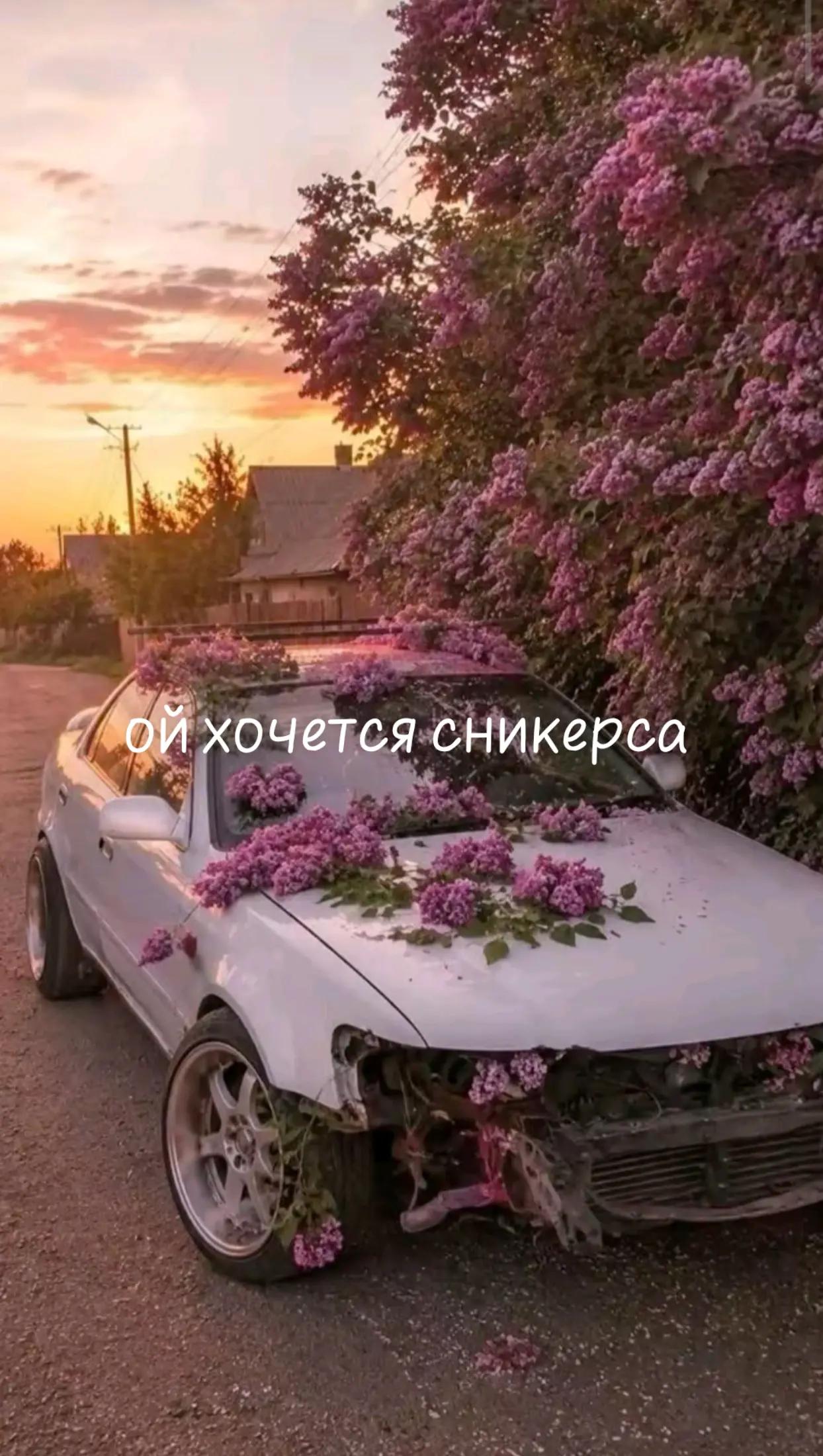 @FASEDZ