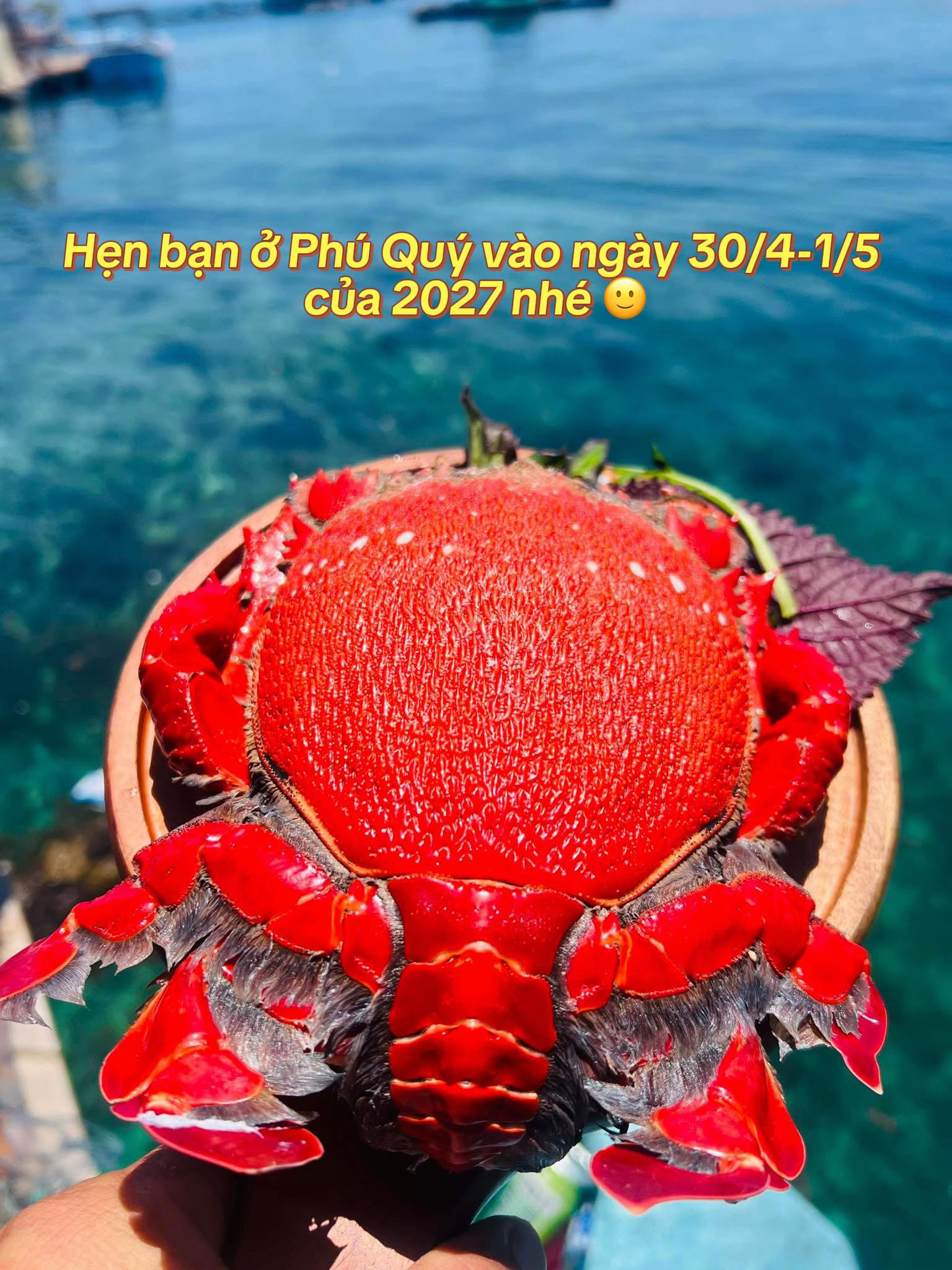 @Đức Booking Ph&uacute; Qu&yacute;