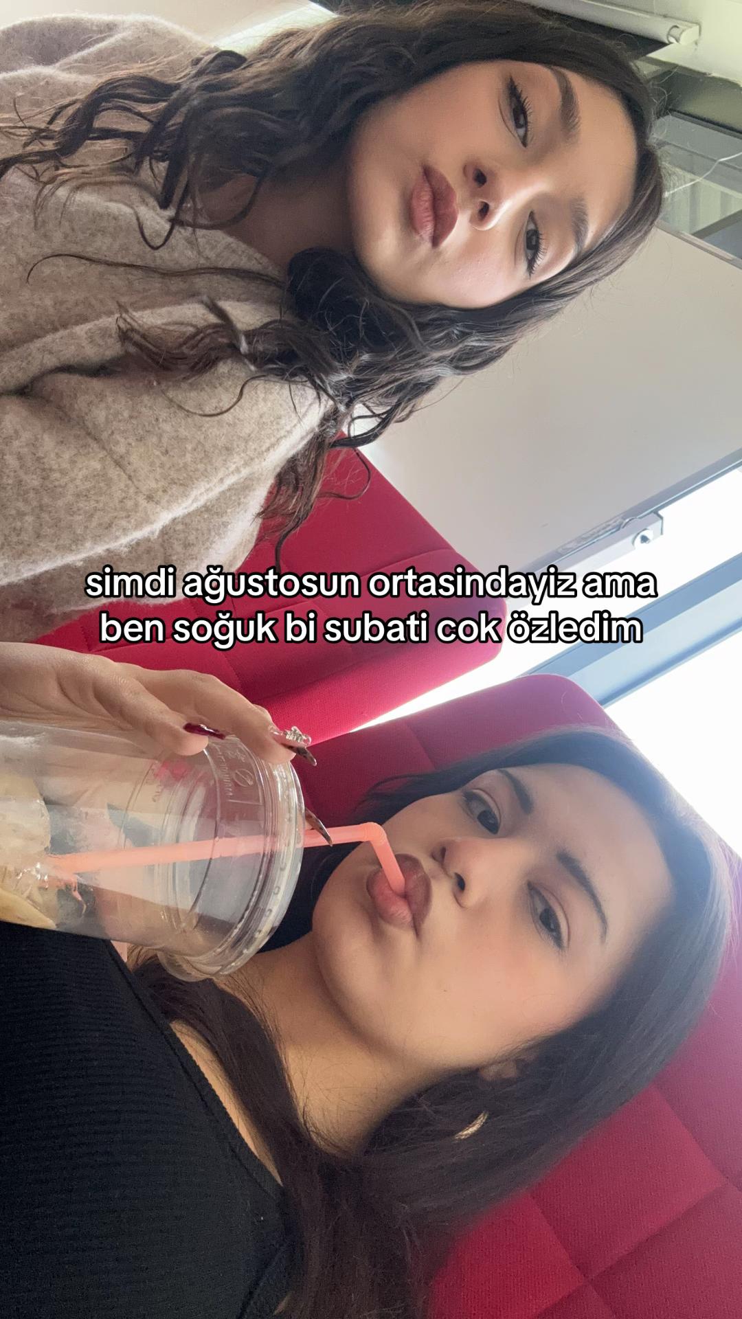 @beril 🐰