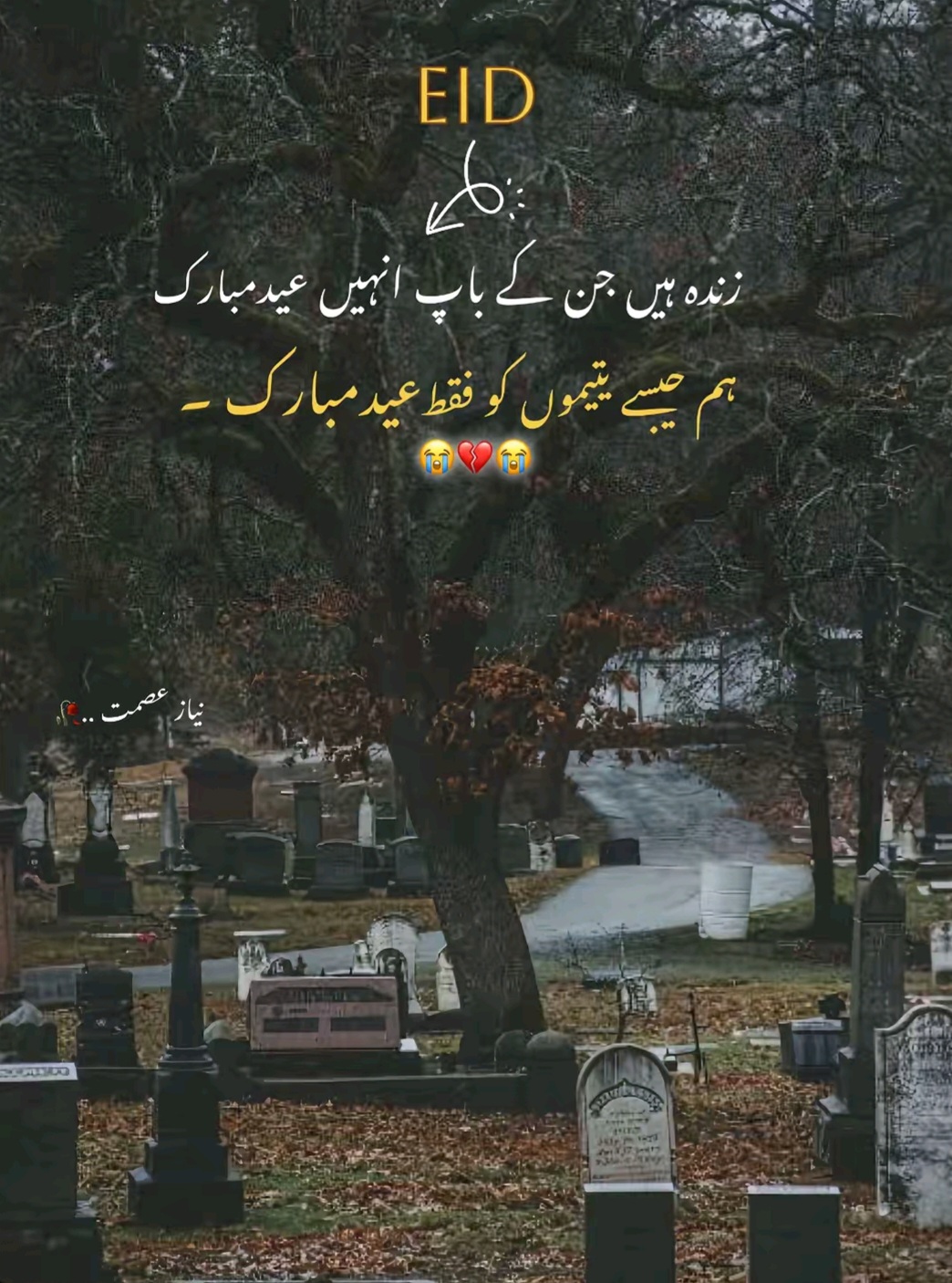 @Ziddi BaiG 🇳🇿 🦅