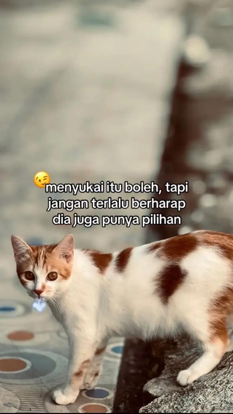 @sidol gtg
