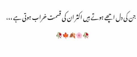 @Raja Ahsan Raza12