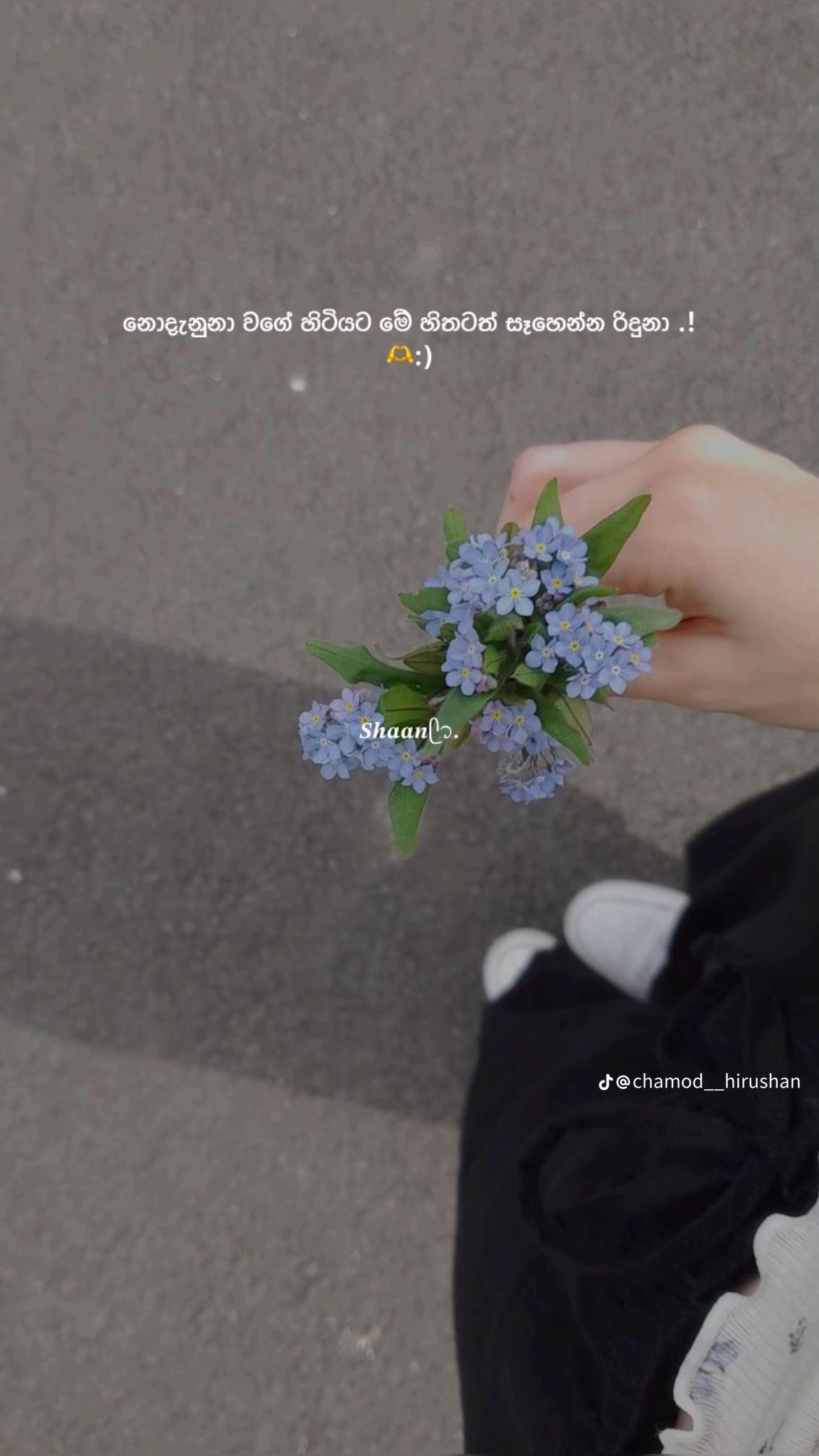 @🧚 ♡ _Dew Girl_ ♡ 🧚