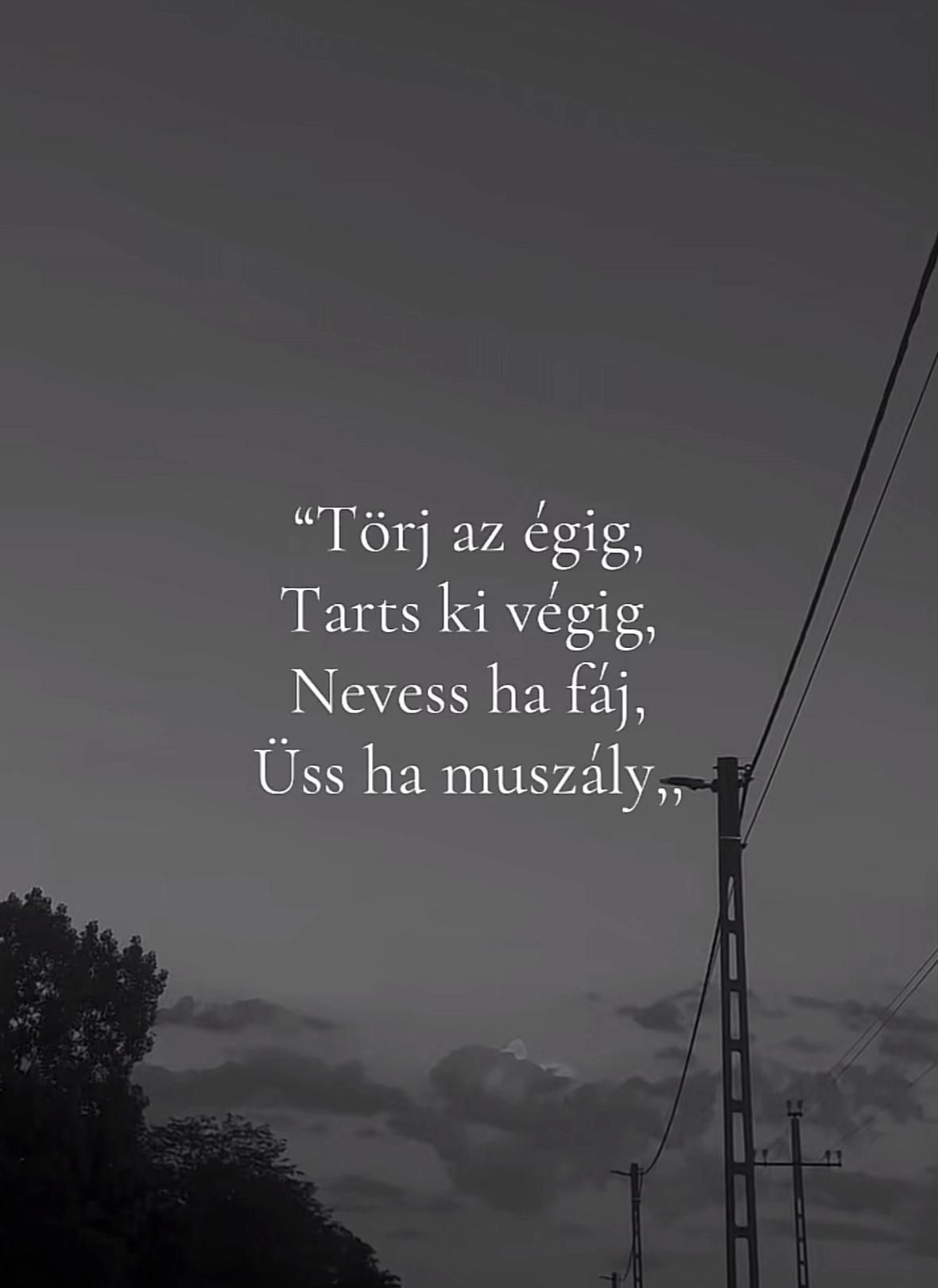 @💗🌸Zs_ó_f_i_a🌸💗