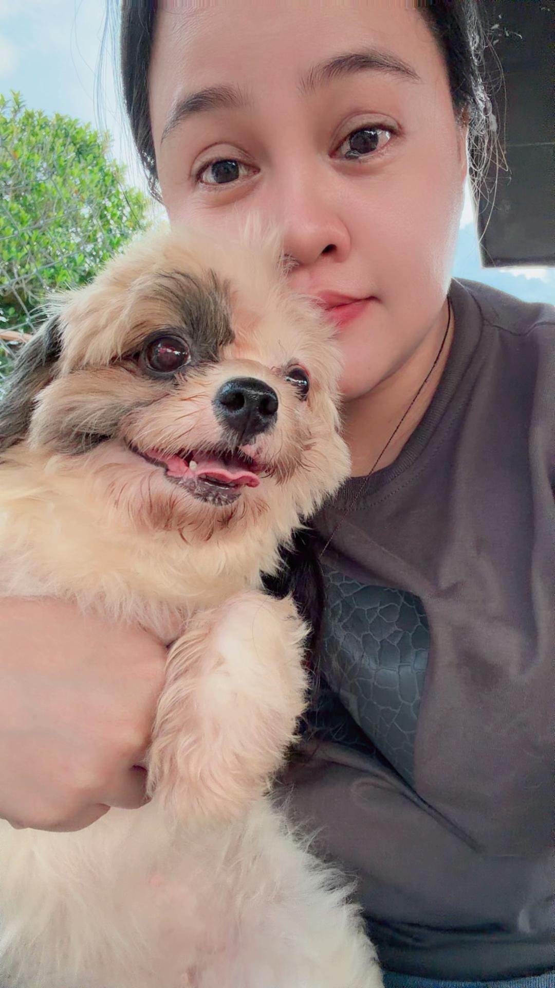 @autum🐕