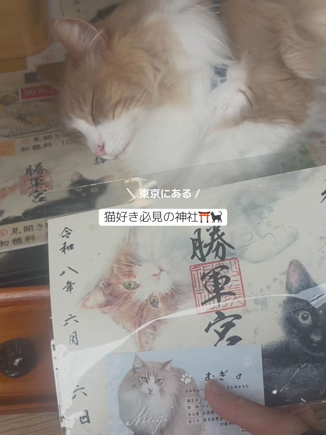 @mii|おでかけ記録