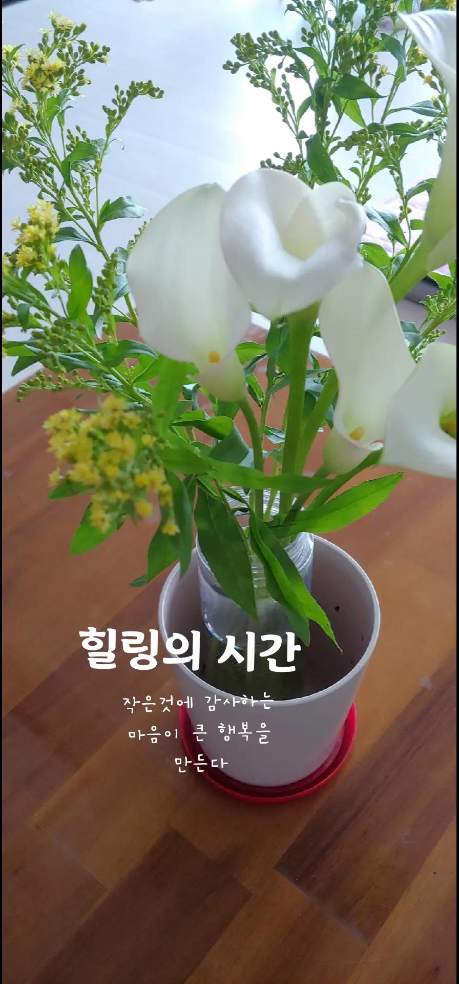 @여우8