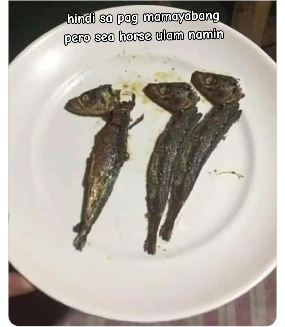 @ᥫ᭡Viana