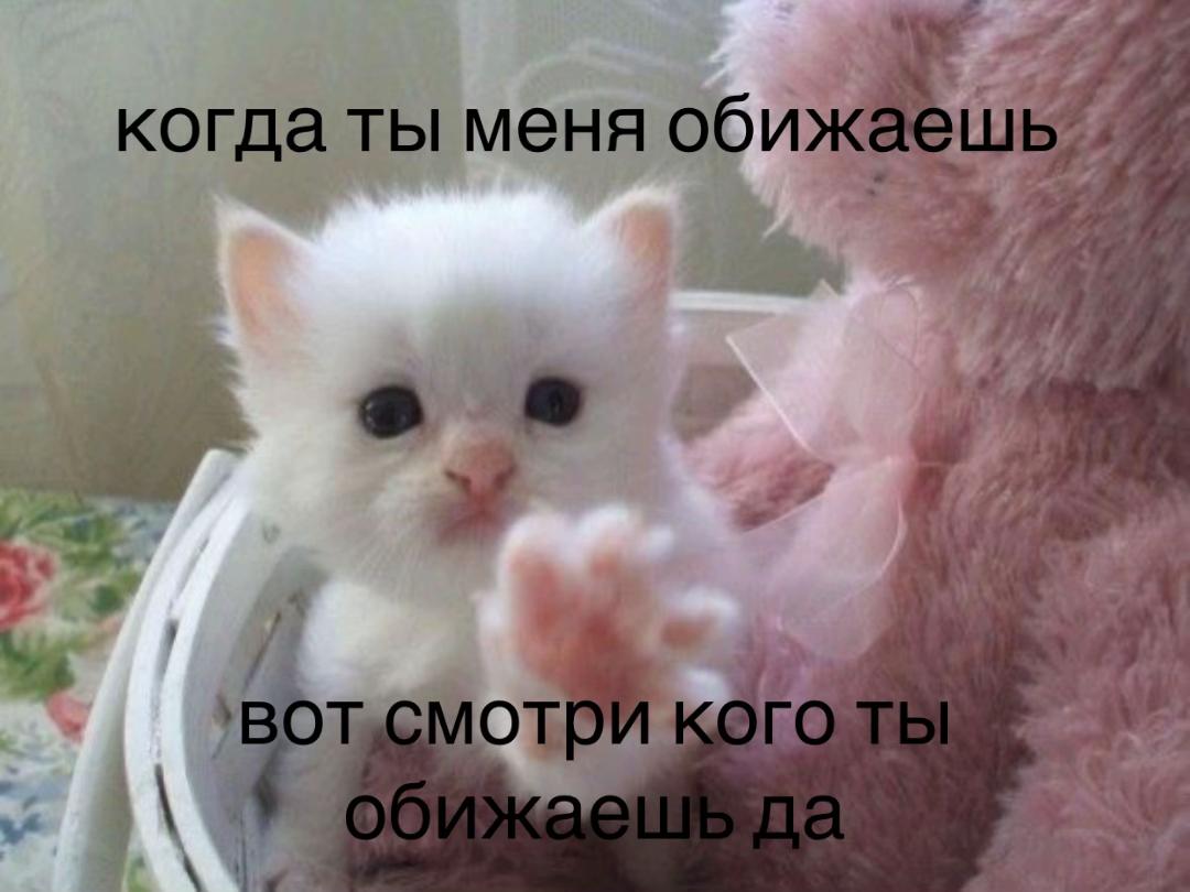 @тгк:aisurum